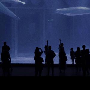 大🐻美女300%棵视频
