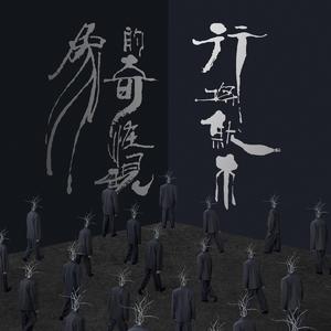 大🐻美女300%棵视频
