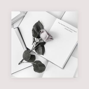 大🐻美女300%棵视频
